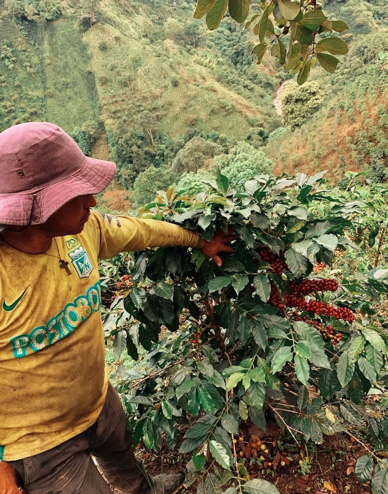 Colombia