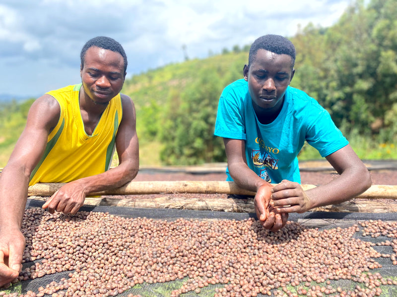 ALLES OVER BURUNDI – Munkaze voor Espresso