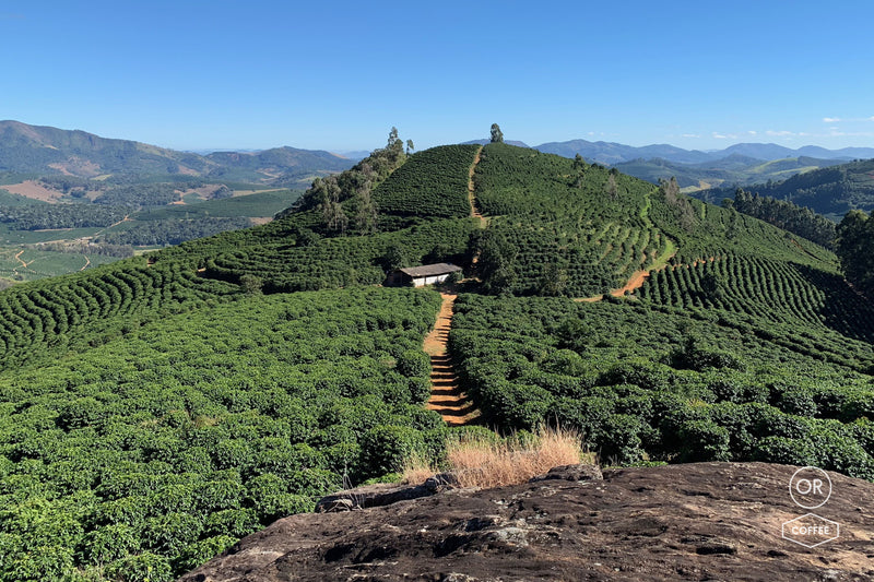 ALLES OVER BRAZILIË – Pedra Bonita voor espresso